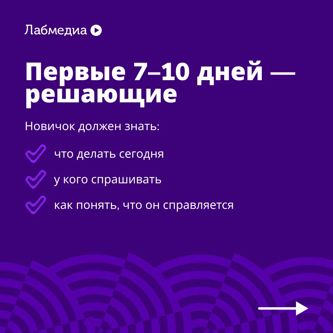 💡 Вырасти сотрудника с нуля, даже если бюджет ограничен | Сетка — социальная сеть от hh.ru