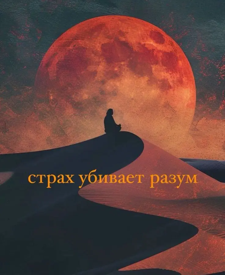 ✍️ Александр Герцен был прав:
Несчастья - жестокие наставники. Они делают человека выносливым не силой, а трещинами в душе | Сетка — социальная сеть от hh.ru