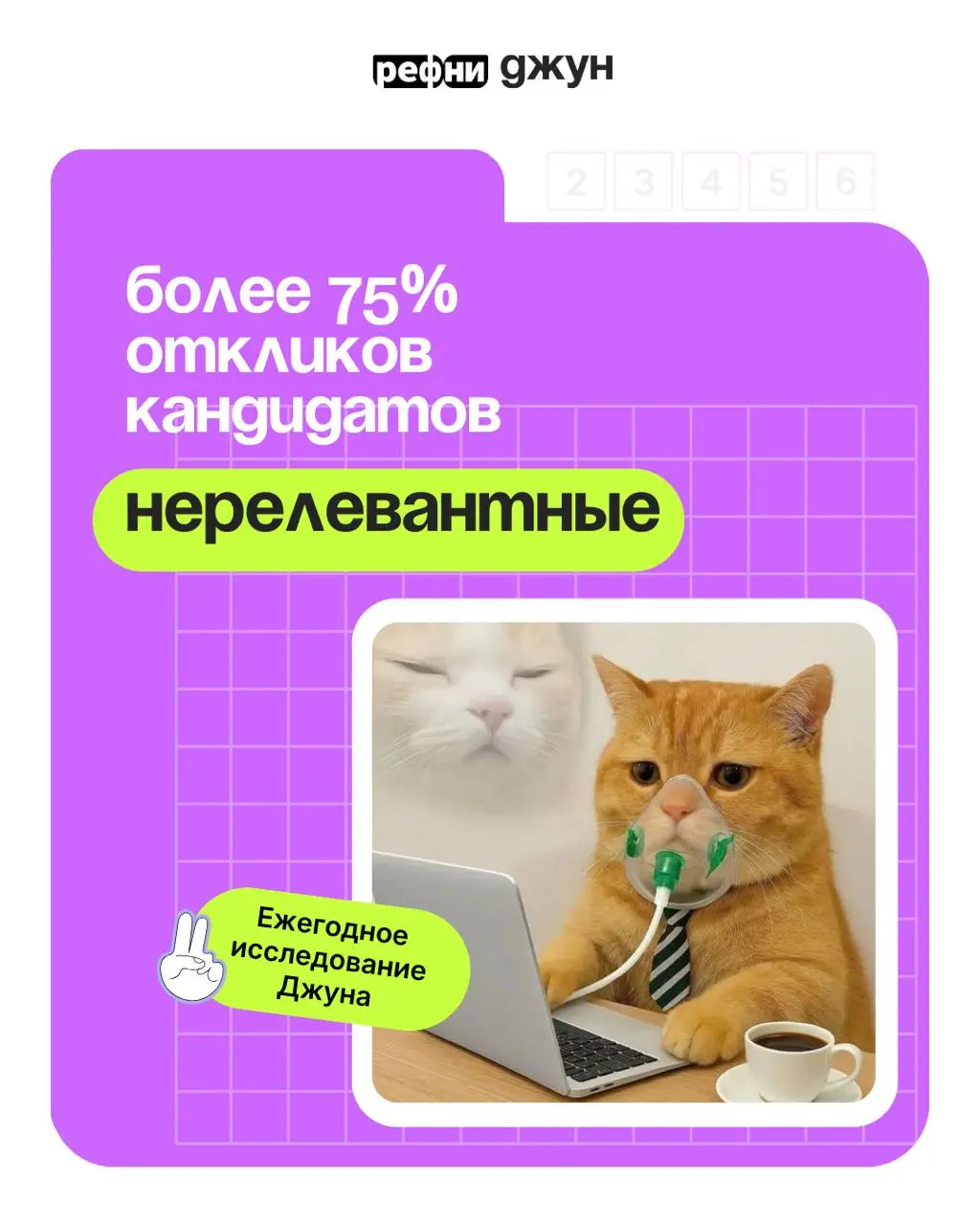 Аналитика по откликам кандидатов в 2025 году — подводим итоги с Джуном 💜
Мы проанализировали отклики, которые разобрал Джун в течение года работы | Сетка — социальная сеть от hh.ru