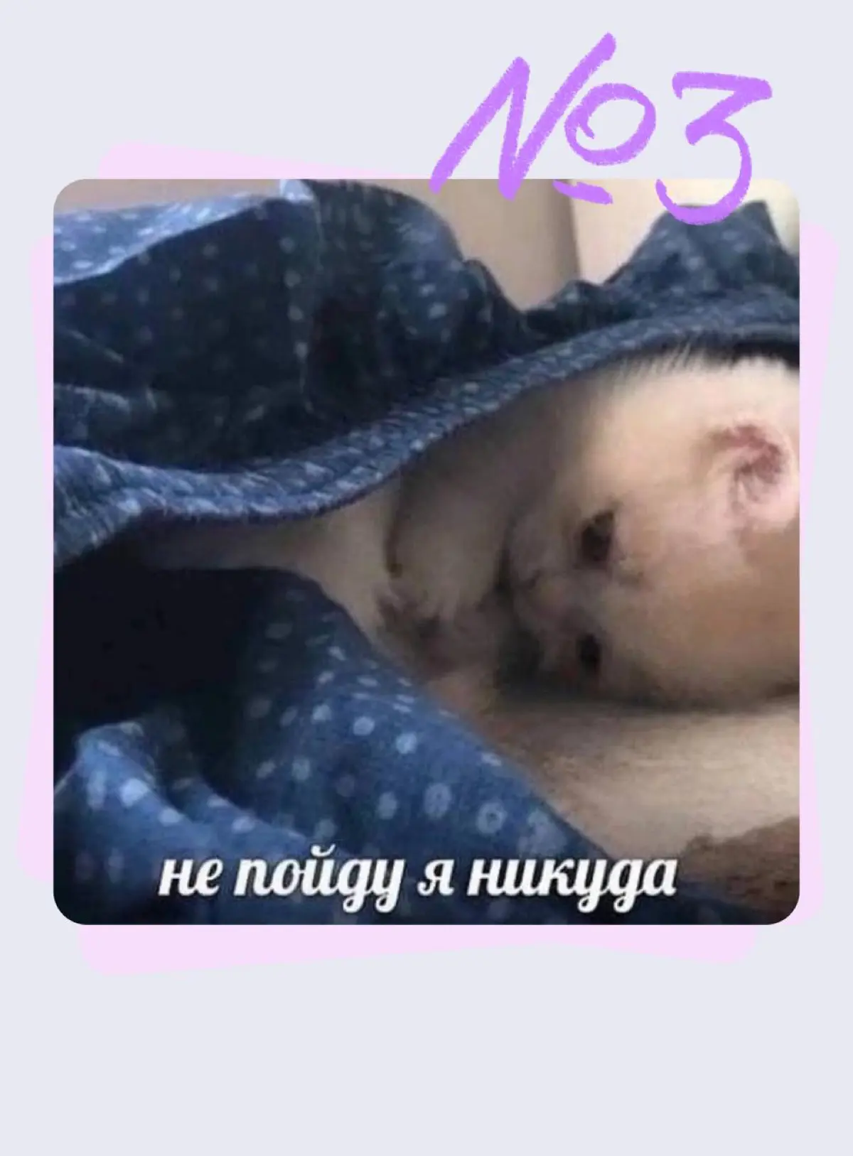 Выбери свое настроение на сегодня | Сетка — социальная сеть от hh.ru
