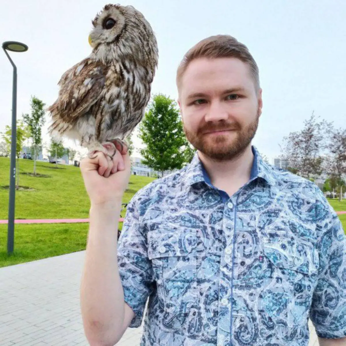 Network member avatar