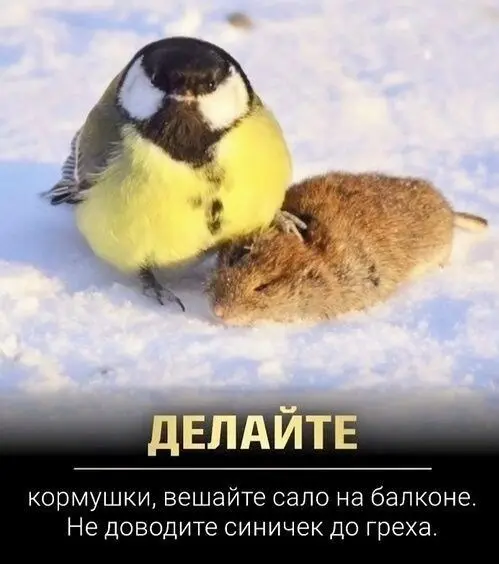 Рекрутер | Сетка — социальная сеть от hh.ru