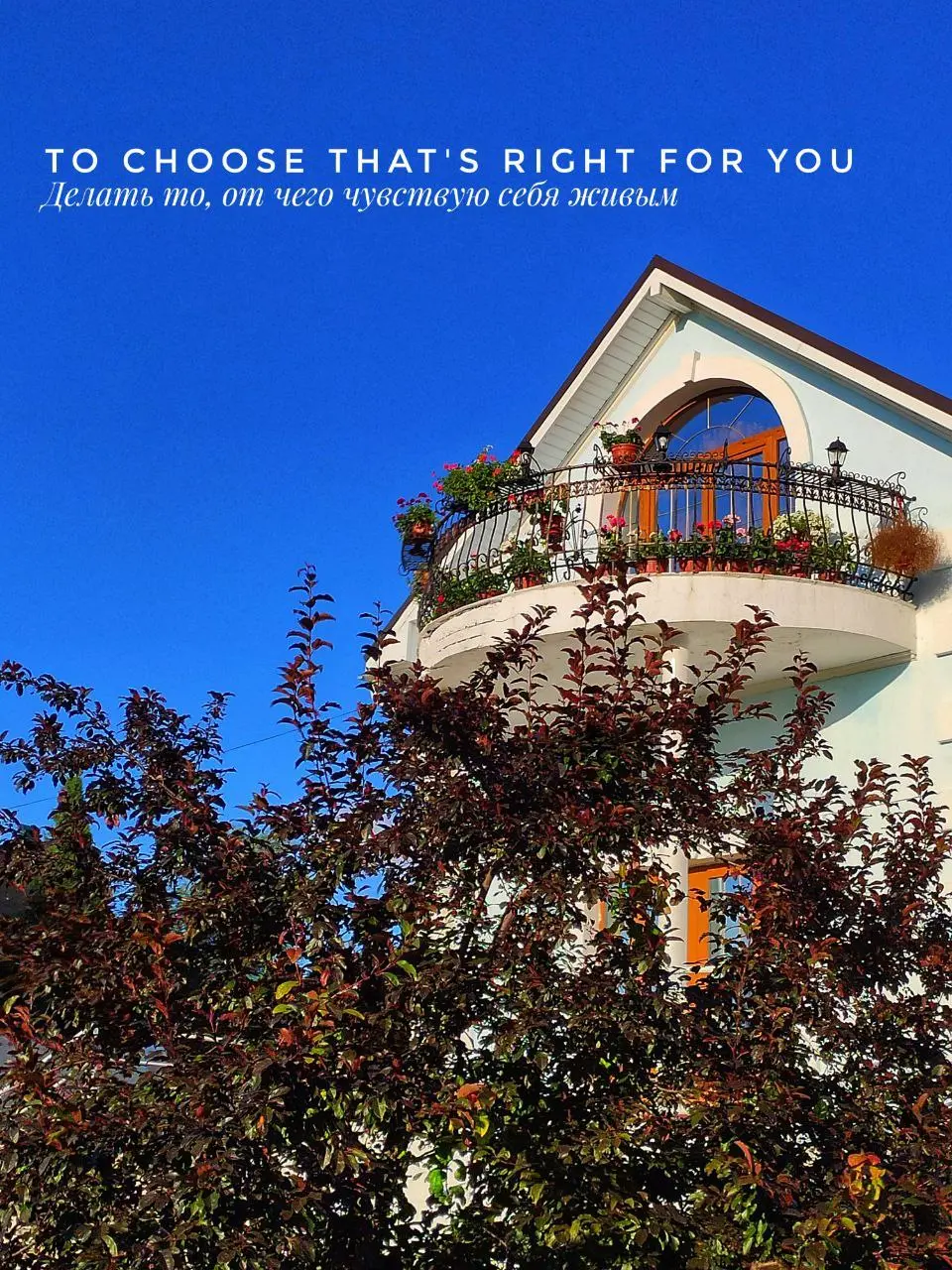 Делать то, от чего чувствую себя живым
В каких условиях я чувствую себя наиболее живым (живой)?
Иногда в голову приходит мысль или вопрос (к себе), который мгновенно наполняет изнутри (ответами на про... | Сетка — социальная сеть от hh.ru