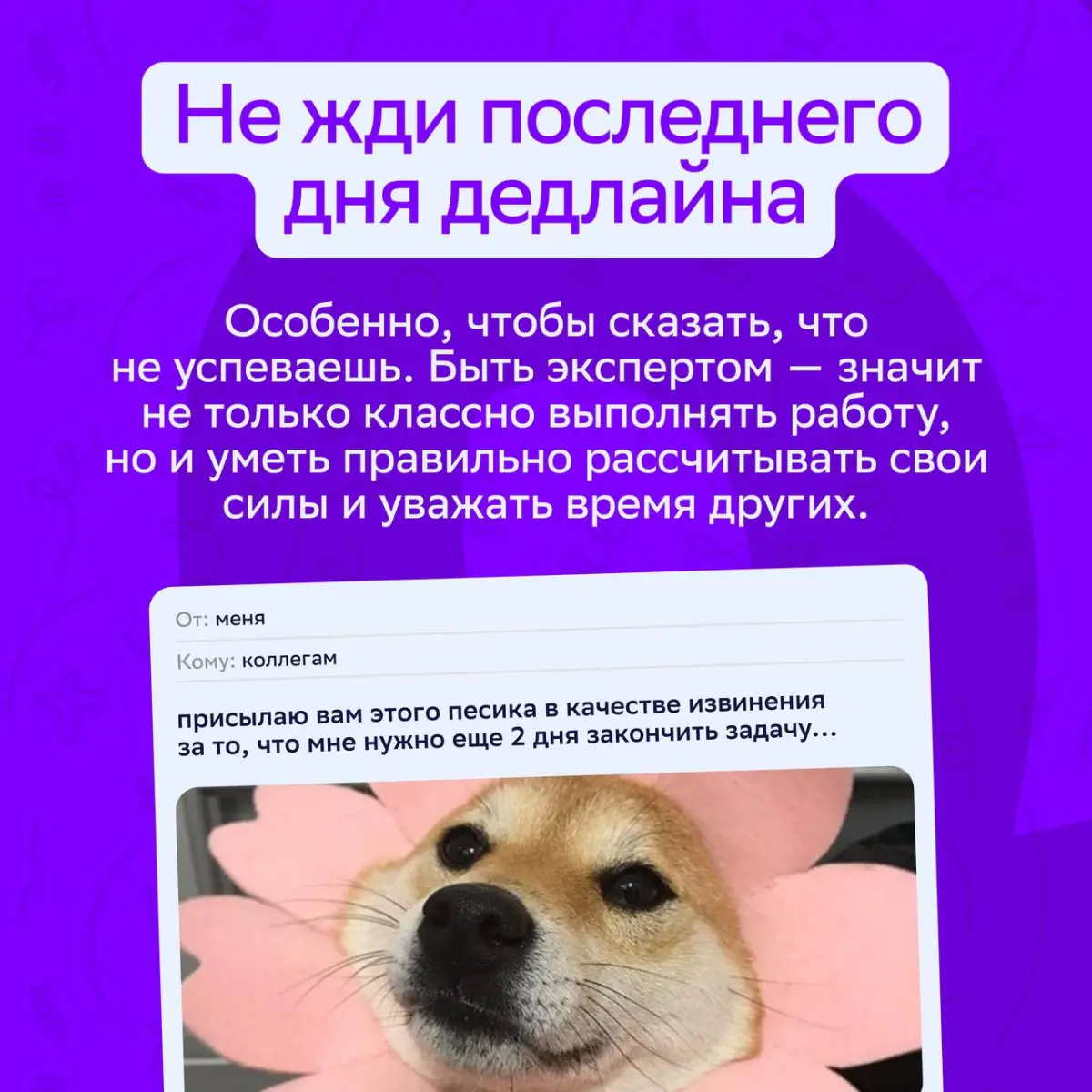 Мы не знаем, как приблизить пятницу, но знаем, как сделать рабочие будни комфортными!
Советуем тебе присмотреться к этим карточкам | Сетка — социальная сеть от hh.ru