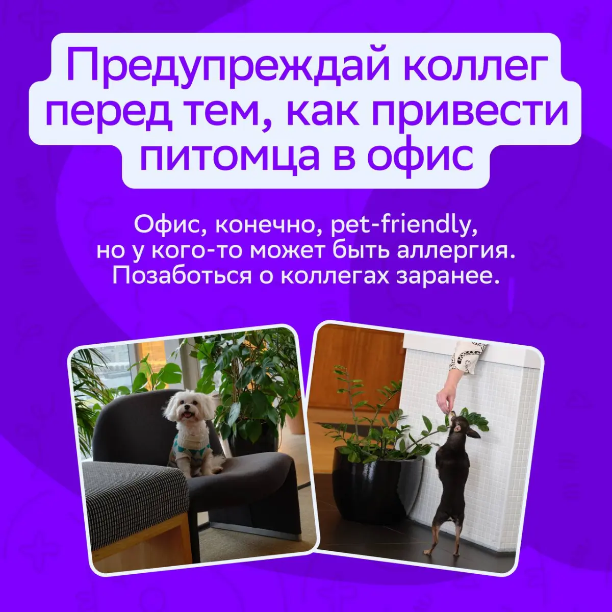 Мы не знаем, как приблизить пятницу, но знаем, как сделать рабочие будни комфортными!
Советуем тебе присмотреться к этим карточкам | Сетка — социальная сеть от hh.ru