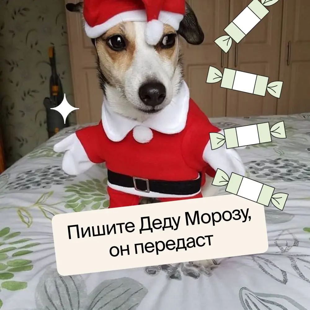 Немного настроения всем 🥰 | Сетка — социальная сеть от hh.ru