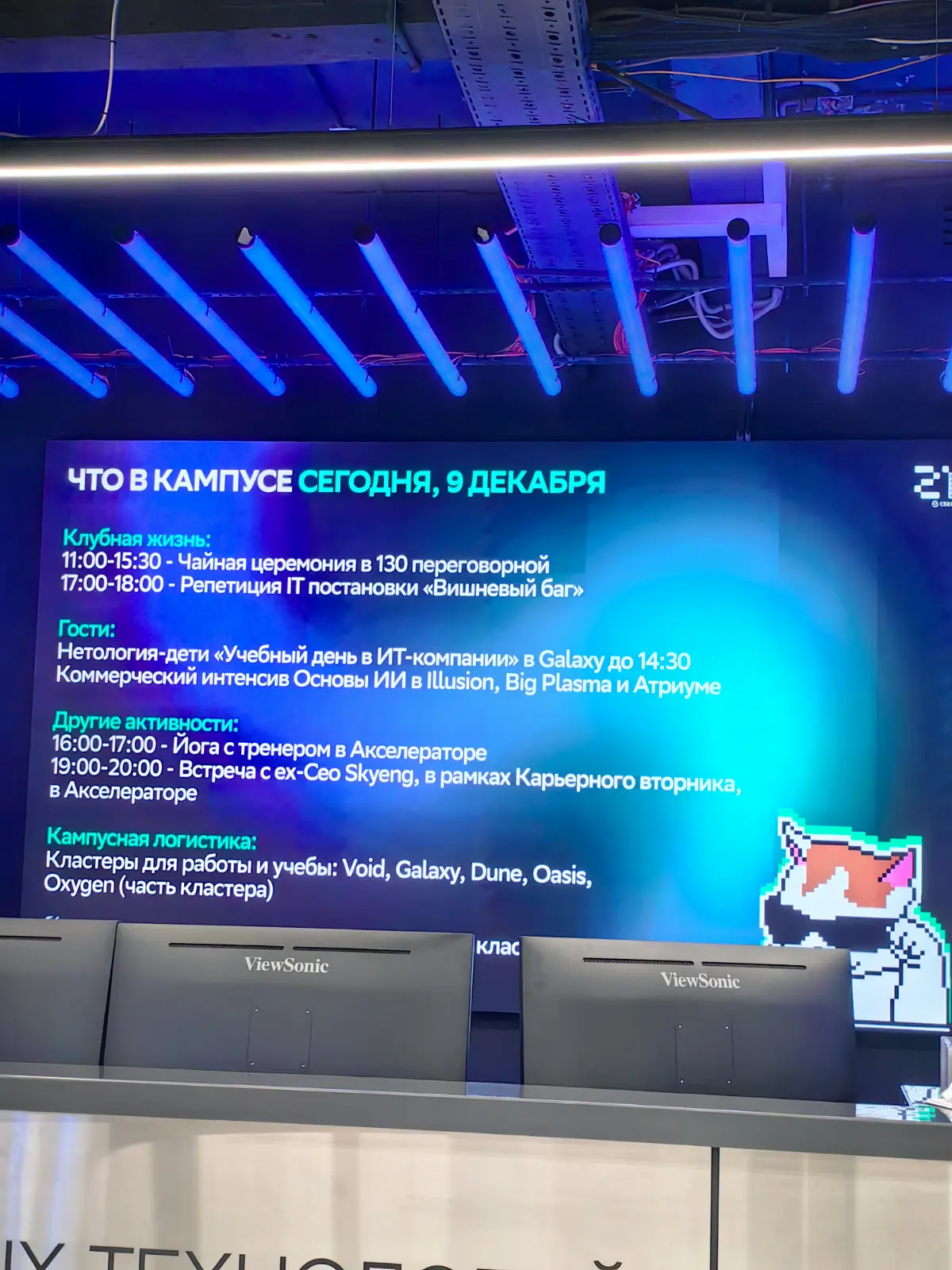 Вишнёвый баг ✅ | Сетка — социальная сеть от hh.ru