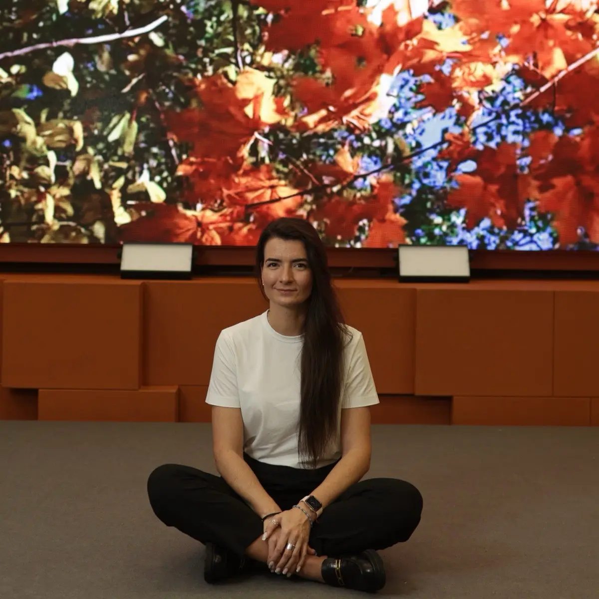 Network member avatar