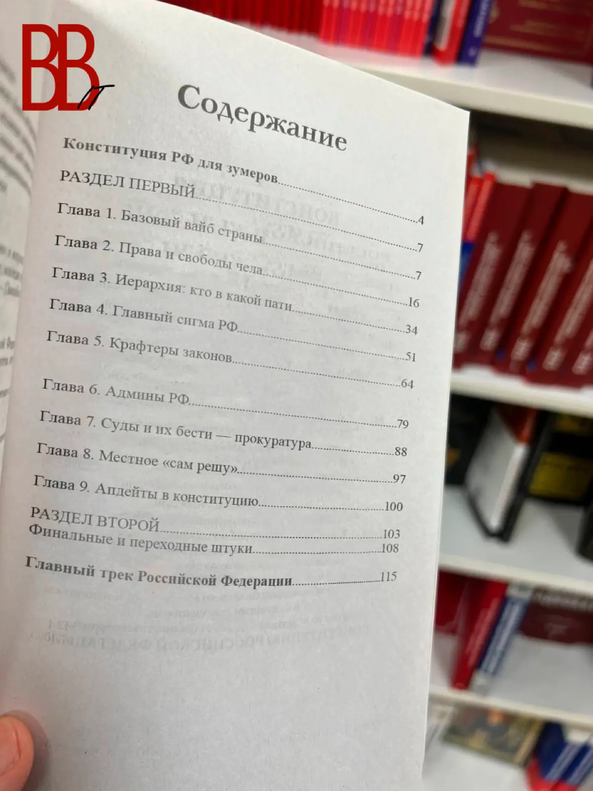 В Московских магазинах нашли Конституцию для зумеров | Сетка — социальная сеть от hh.ru