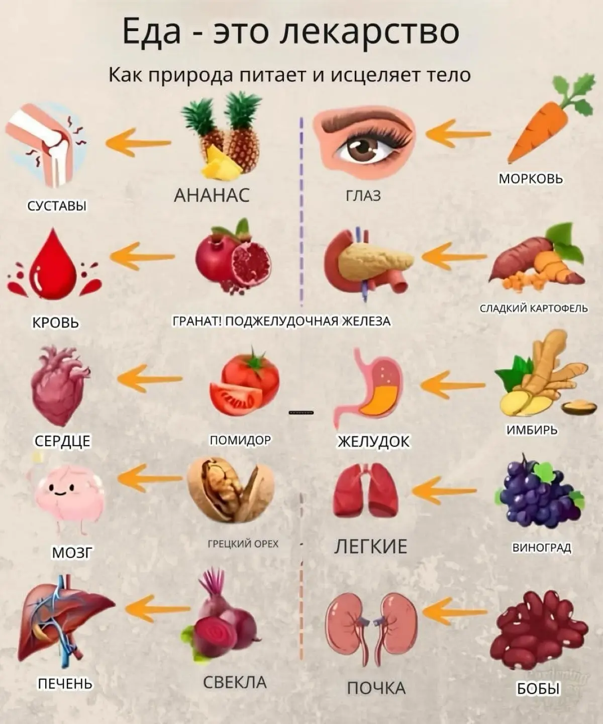 Тело - любит когда о нем думают❤️❤️❤️ | Сетка — социальная сеть от hh.ru