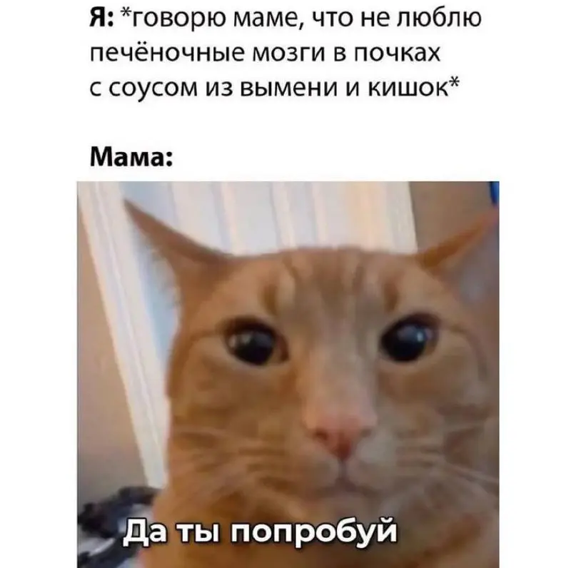 Когда эйчар заманивает на вакансию без зарплаты через ценности бренда) | Сетка — социальная сеть от hh.ru