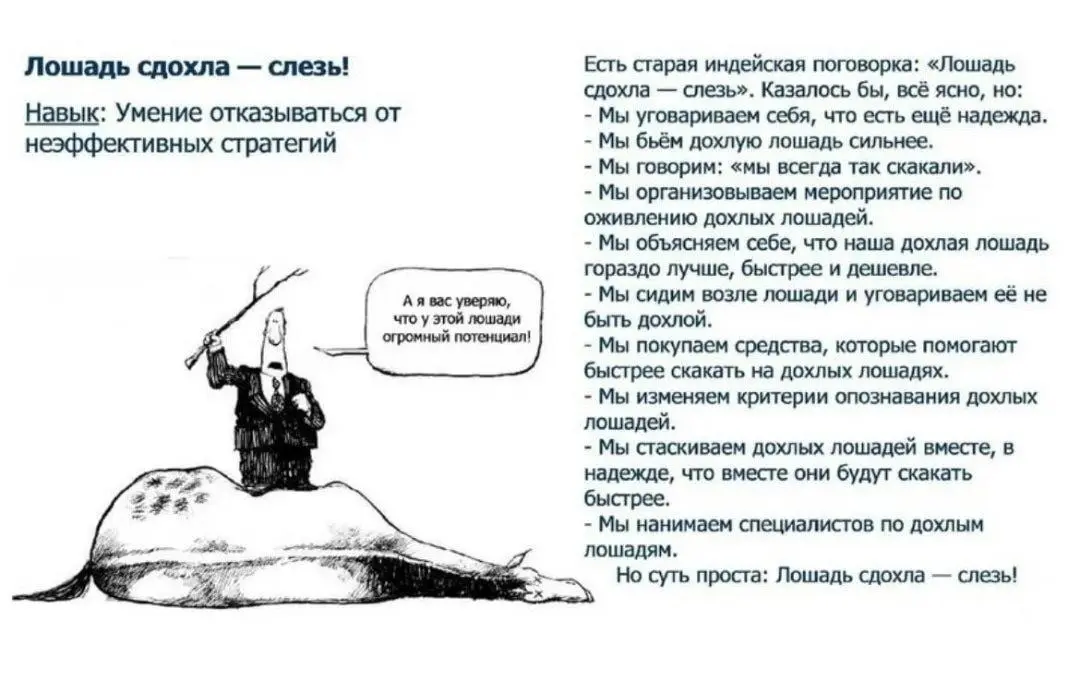 ЛОШАДЬ СДОХЛА, А МЫ ЕЩЕ В СЕДЛЕ. 5 ПРИЧИН
Сегодня продолжу тему о дохлой лошади в нашей карьере, и даже оставлю тот же визуал для наглядности.
Ниже - про психологию | Сетка — социальная сеть от hh.ru