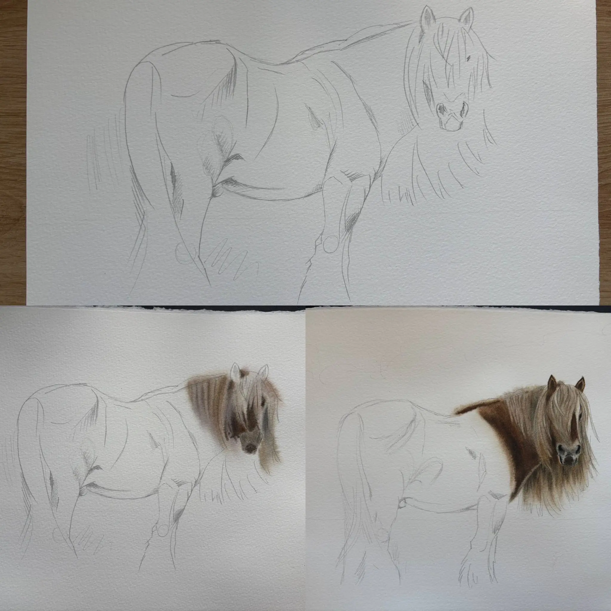 Первая законченная и оформленная работа в цикле «Ах кони!».
Формат А3. Акварель | Сетка — социальная сеть от hh.ru