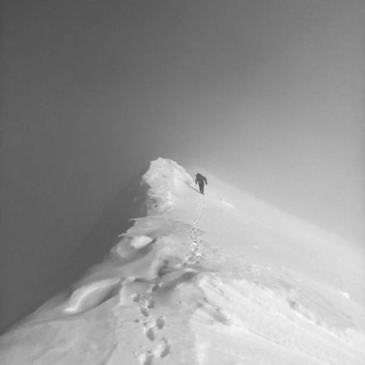 Артём Осипов | Сетка — социальная сеть от hh.ru