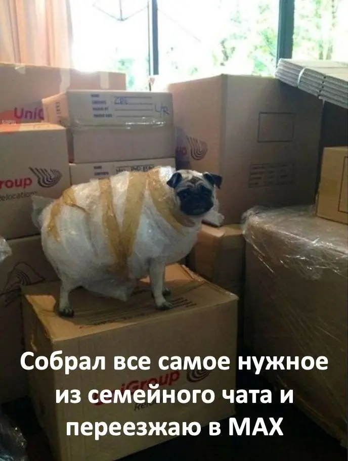 Проблемы переходного периода из одного мессенджера в другой | Сетка — социальная сеть от hh.ru
