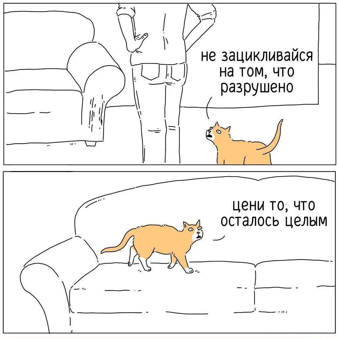 Философия от котика 😂😂😂
#Юмор@poldner    #Коты@poldner | Сетка — социальная сеть от hh.ru