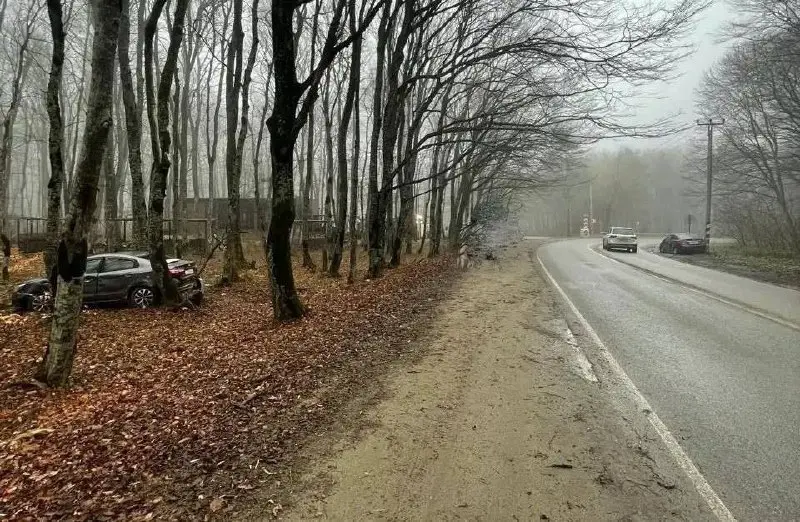 В Ставропольском крае на трассе Ставрополь-Тоннельная-Барсуковская произошло лобовое ДТП
После столкновения один из автомобилей съехал с дороги и врезался в дерево | Сетка — социальная сеть от hh.ru