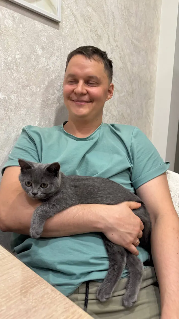 Проекты, которые запустил в этом месяце:

Искусственные деревья — Яндекс Директ | Сетка — социальная сеть от hh.ru