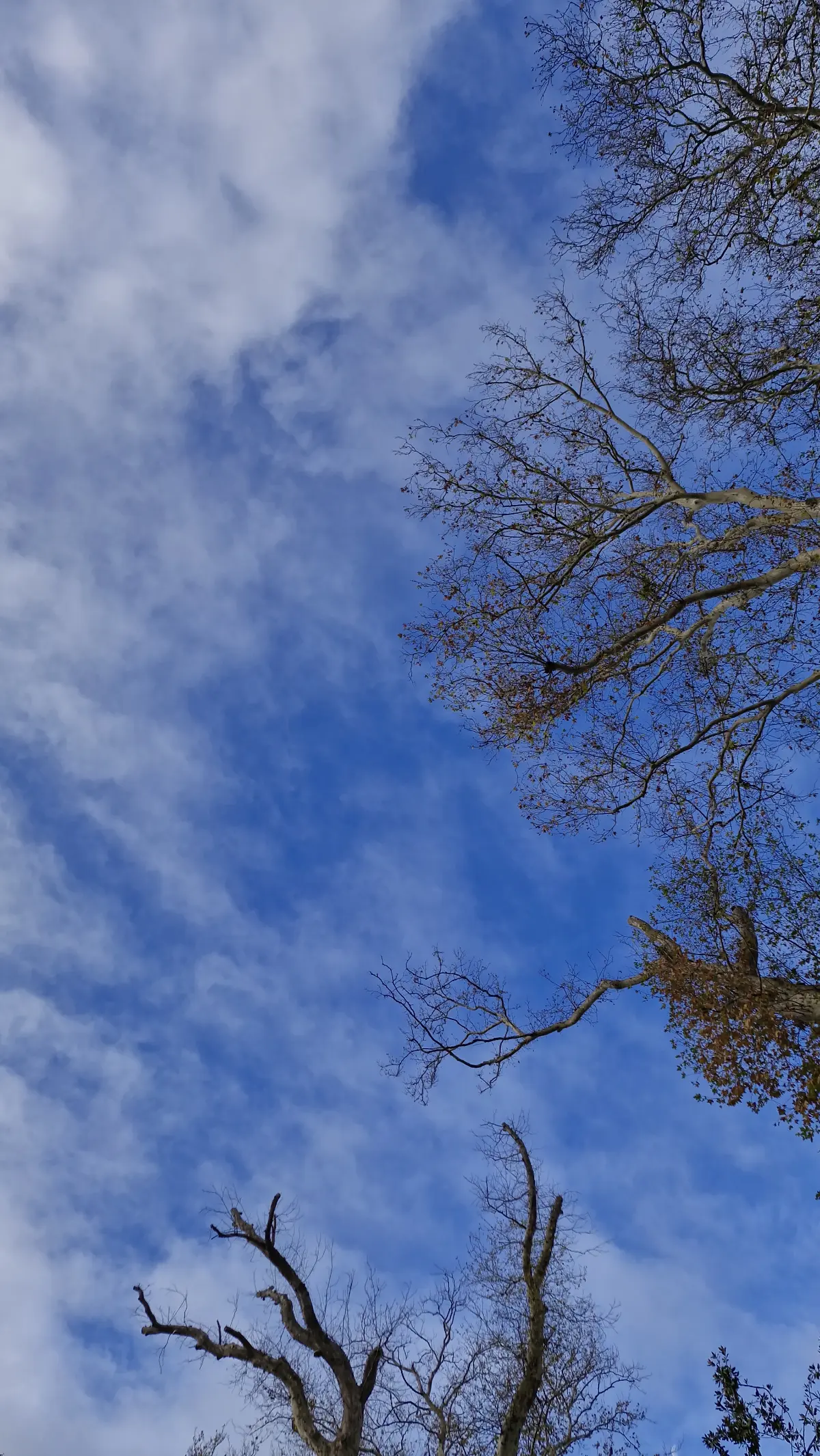 Декабрь уже без суеты 💙  
#декабрь #2025 | Сетка — социальная сеть от hh.ru