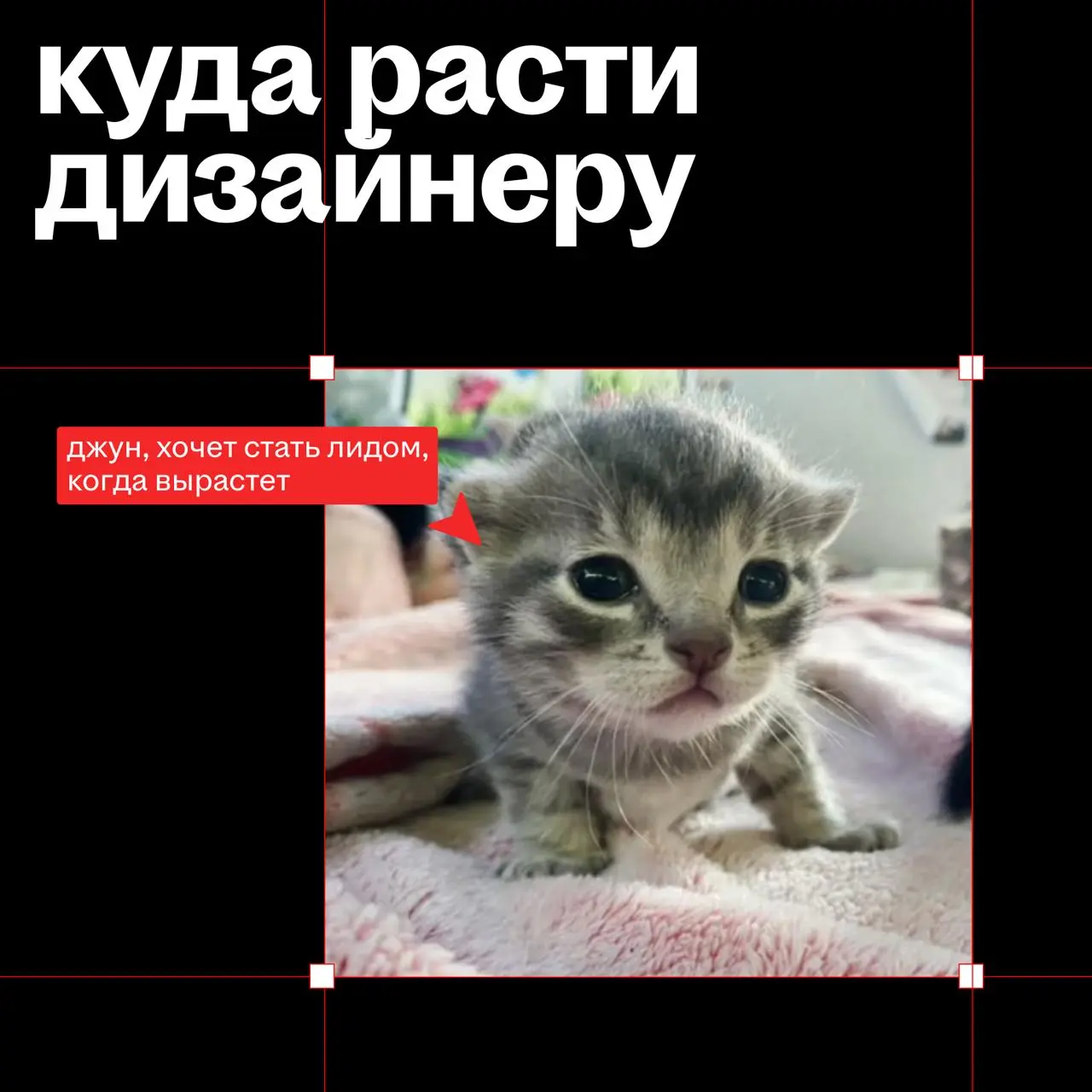 у самурая дизайнера нет цели, есть только путь
привет, это 🔴 Виталий Шмелёв, лид продуктового дизайна hh | Сетка — социальная сеть от hh.ru