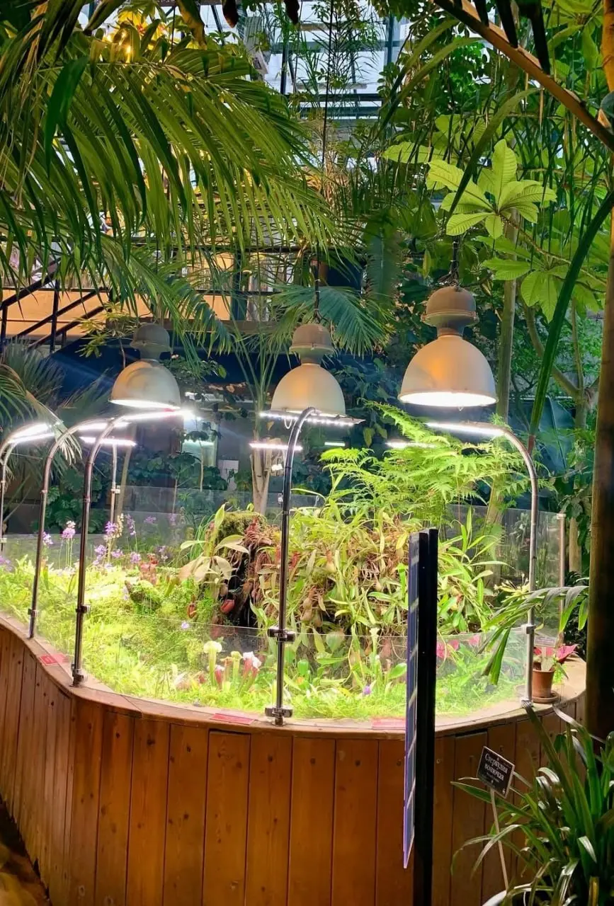 🌴Пальмовая оранжерея «Аптекарского огорода» будет закрыта для посещения для подготовки к Фестивалю орхидей
С 22 по 26 декабря
Фестиваль орхидей в Аптекарском огороде стартует 27 декабря и продлится до... | Сетка — социальная сеть от hh.ru