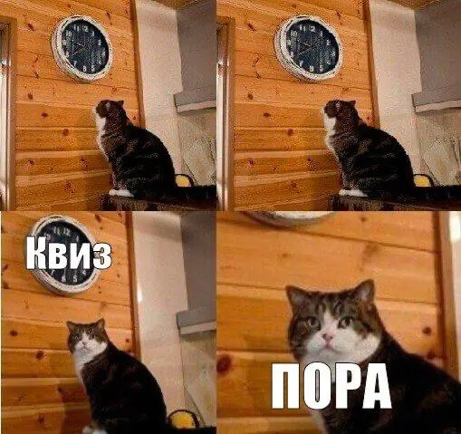 Перед новым годом HR-отдел не может усидеть спокойно. Скорее всего вас ждёт корпоративный квиз.
Что может быть скучнее квиза?
Только айтишный квиз | Сетка — социальная сеть от hh.ru