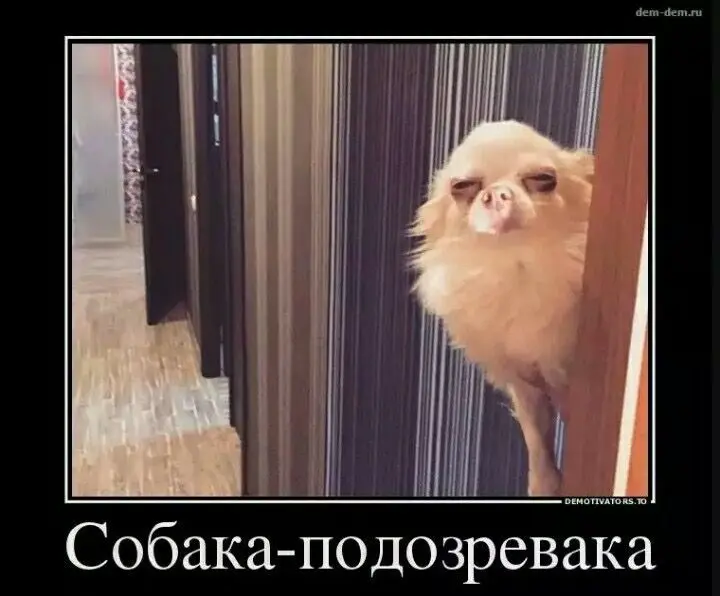 Запуск | Сетка — социальная сеть от hh.ru