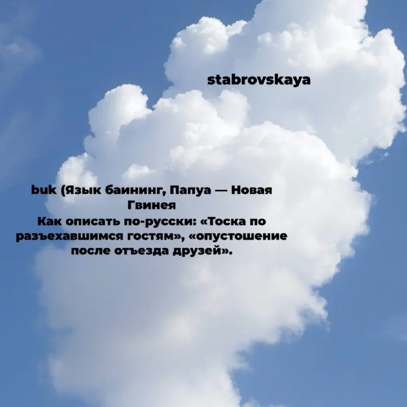 5 чувств, которых нет в русском языке ✍🏼
Пополняем словарный запас
#риелтор #сммвнедвижке #недвижимость #словарь | Сетка — социальная сеть от hh.ru