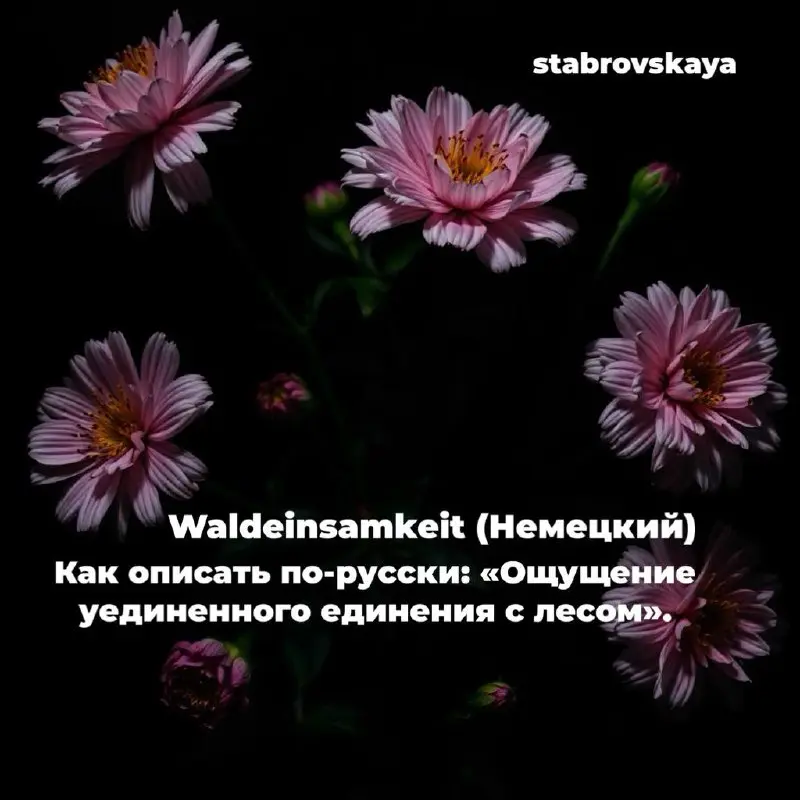 5 чувств, которых нет в русском языке ✍🏼
Пополняем словарный запас
#риелтор #сммвнедвижке #недвижимость #словарь | Сетка — социальная сеть от hh.ru