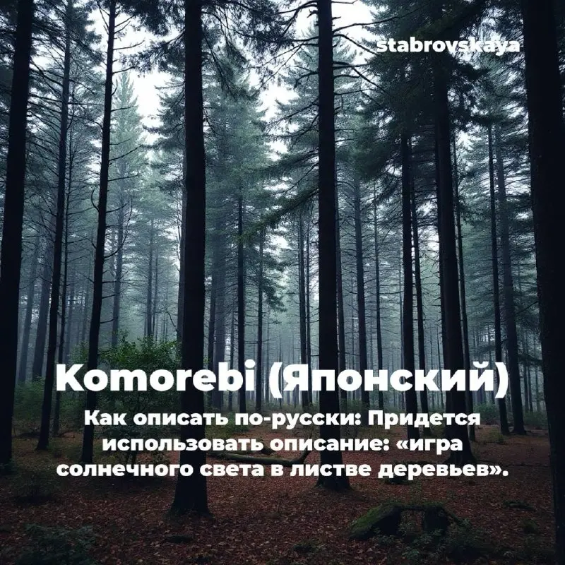 5 чувств, которых нет в русском языке ✍🏼
Пополняем словарный запас
#риелтор #сммвнедвижке #недвижимость #словарь | Сетка — социальная сеть от hh.ru