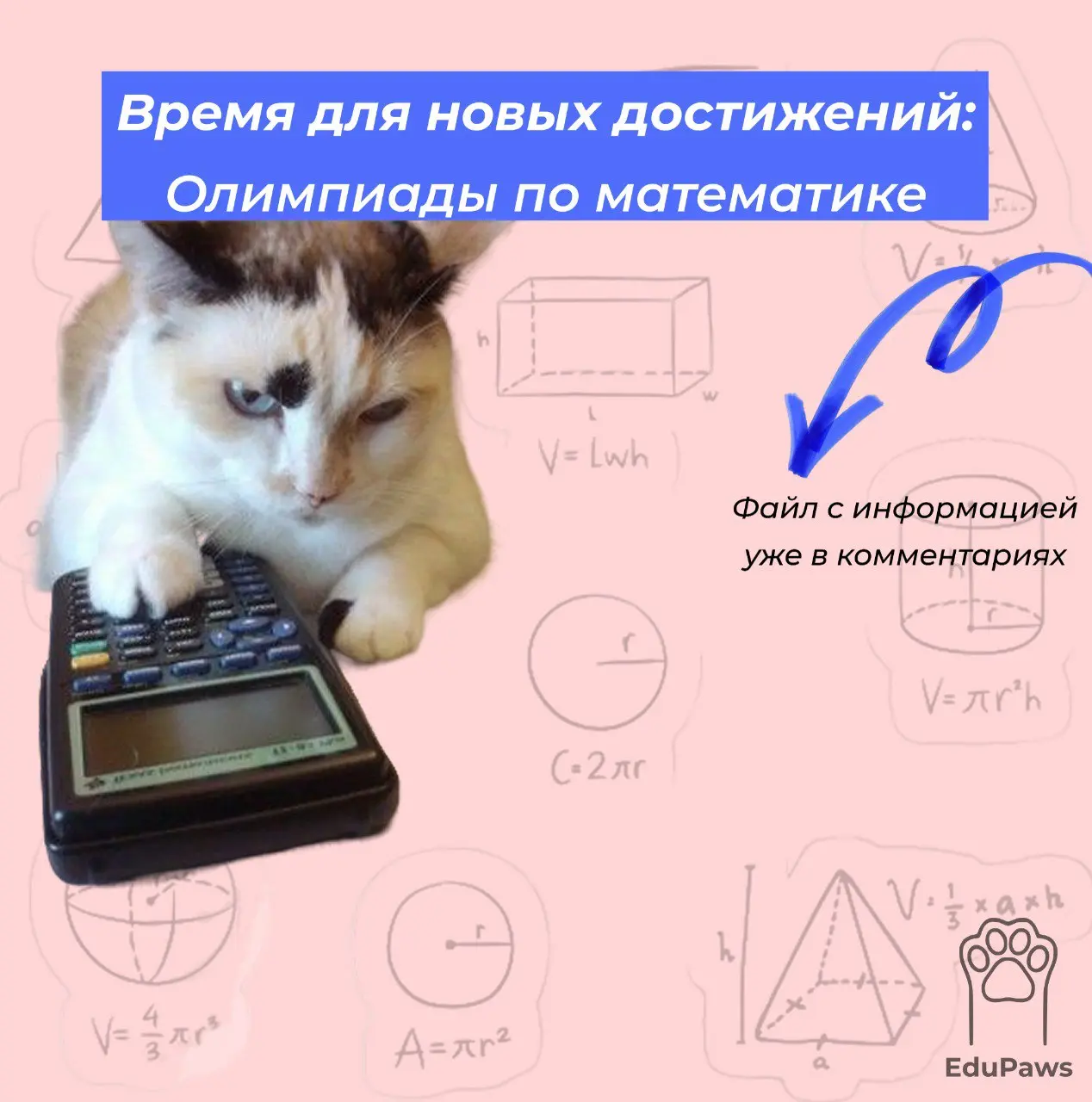 📚 Олимпиады по МАТЕМАТИКЕ для школьников!
Продолжаем нашу серию постов про олимпиады — сегодня поговорим о математических олимпиадах | Сетка — социальная сеть от hh.ru