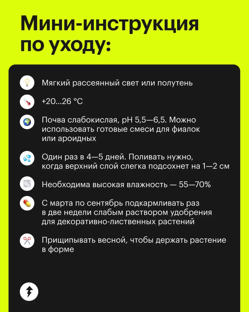 🪴В отсутствие лета заводим его дома в виде нового друга в горшке
Фиттония — цветок, который не побоится вашей обильной любви и влаги (но лучше его, конечно, не заливать)
«Как озеленить дом» и другие к... | Сетка — социальная сеть от hh.ru