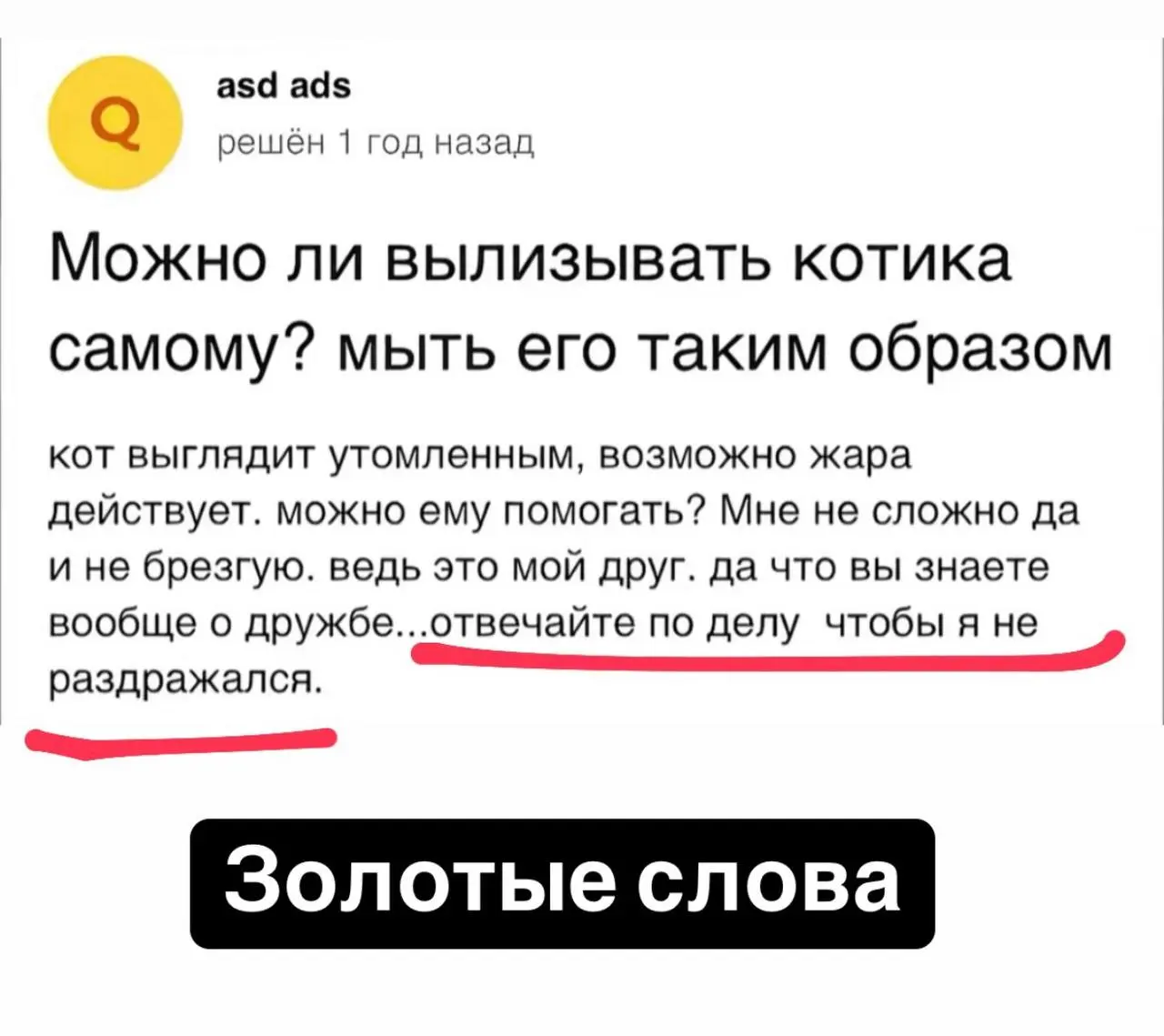 Чем ближе к концу декабря, тем меньше хочется постить умный контент, простите!
Но вот хочу поделиться прекрасной идеей, как можно подписывать буквально любое сообщение! Особенно, рабочие сообщения 🙈😅 | Сетка — социальная сеть от hh.ru