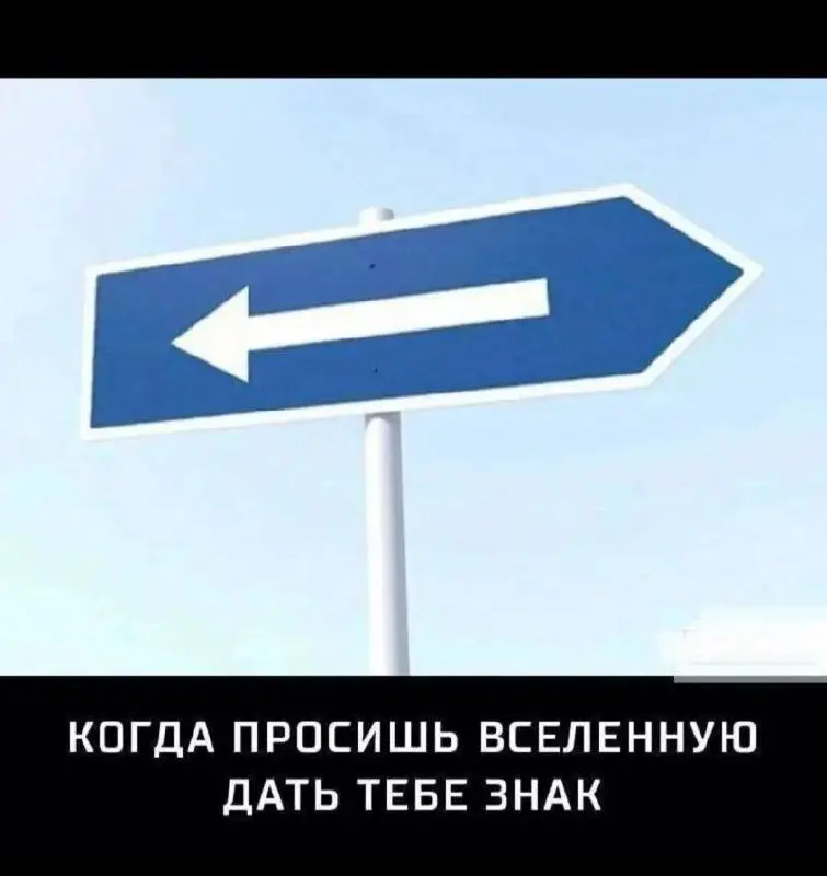 #true | Сетка — социальная сеть от hh.ru