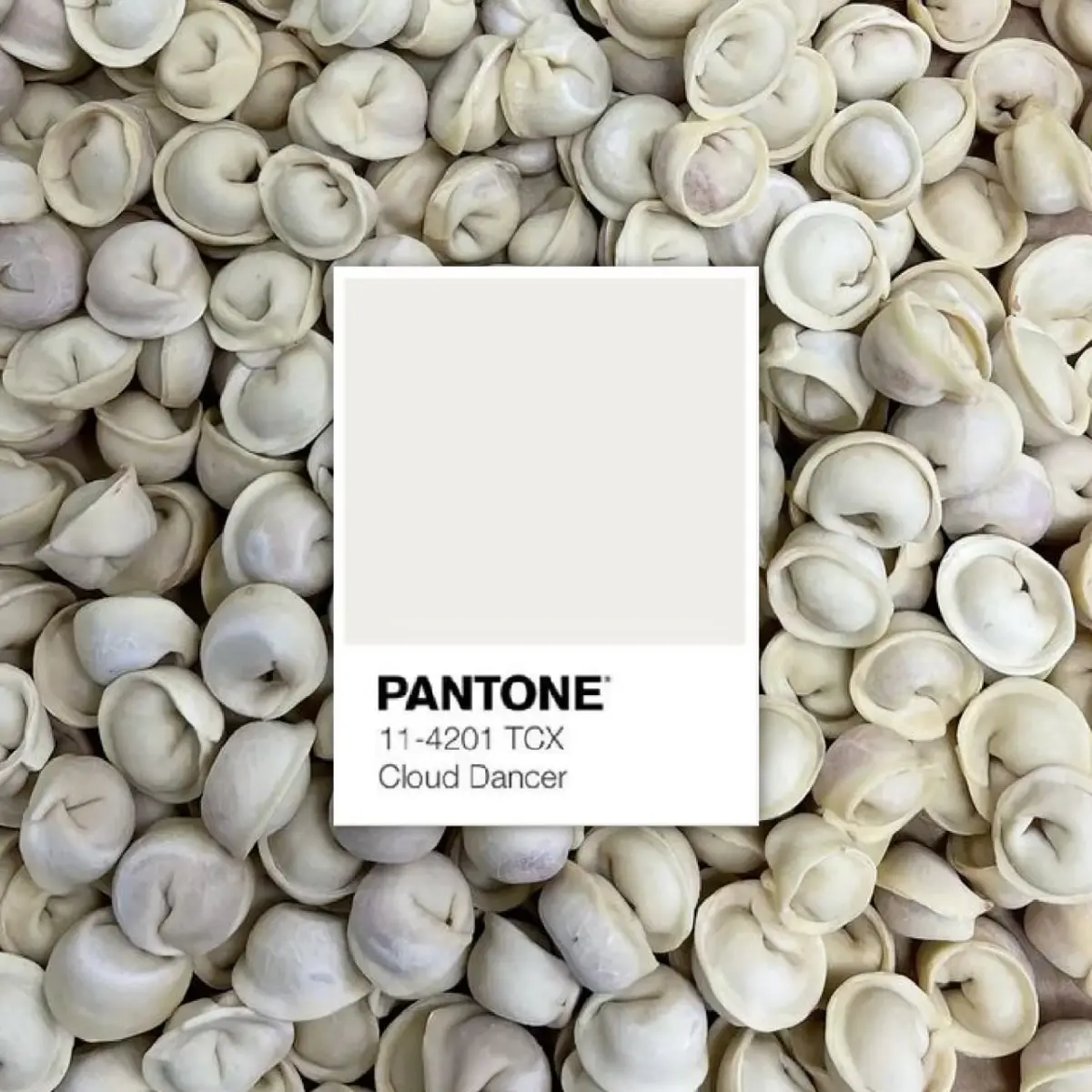Pantone назвал цветом 2026 года оттенок PANTONE Cloud Dancer | Сетка — социальная сеть от hh.ru