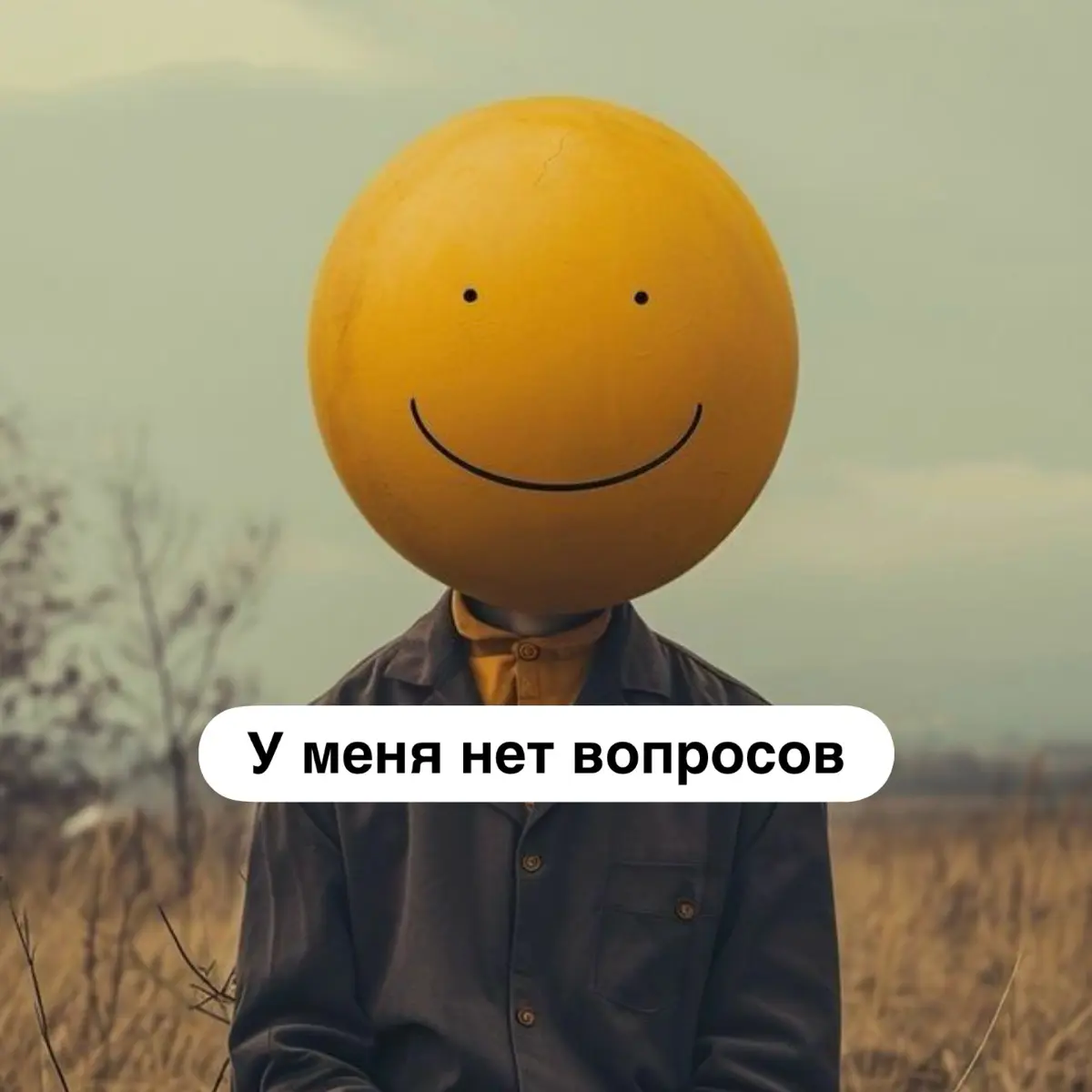 🥹У меня нет вопросов | Сетка — социальная сеть от hh.ru