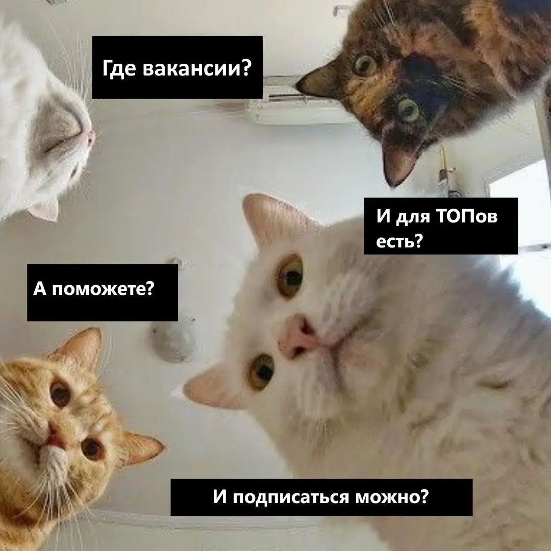 🟠Не можешь найти работу? - подпишись на вакансии
⚫️Непонятен рынок труда? - используй Навигатор 
🟠Не работает резюме? - отправь его на разбор
⚫️Не проходишь отбор у рекрутеров? - прокачай скиллы
🟠Нужн... | Сетка — социальная сеть от hh.ru