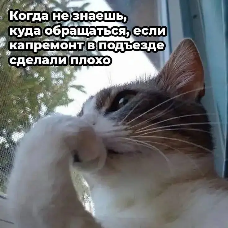 Куда обращаться после плохого капремонта🛠
Если вы увидели недочеты, то вы можете обратиться к:
🔸старшему дома, который на связи с фондом капремонта
🔸подрядчику или в организацию строительного контроля... | Сетка — социальная сеть от hh.ru