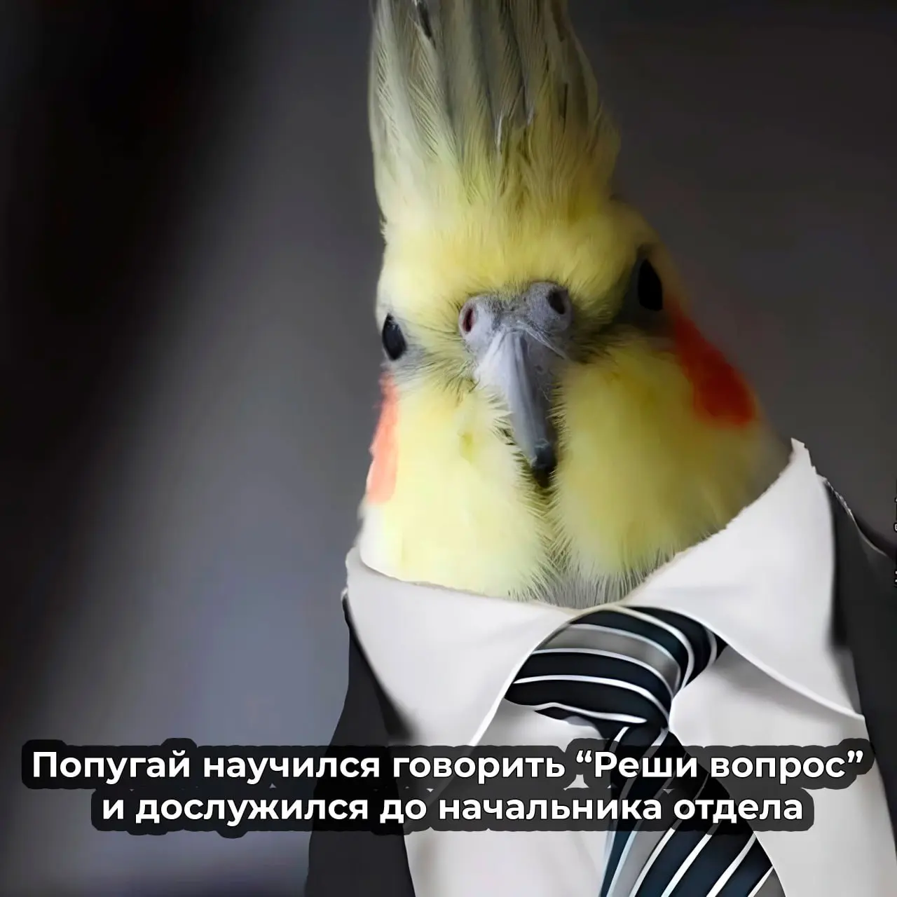 #пятничное | Сетка — социальная сеть от hh.ru