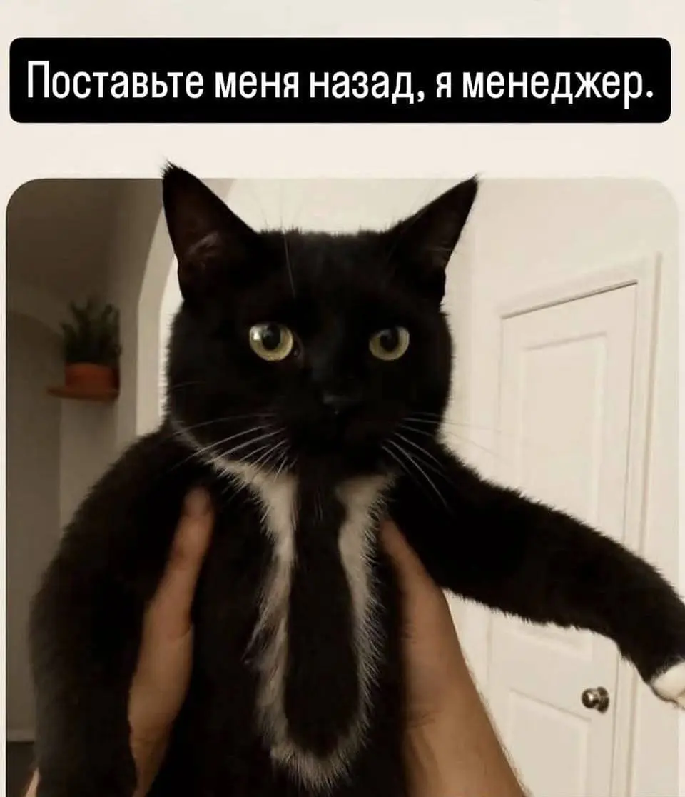 А как оно работает? | Сетка — социальная сеть от hh.ru