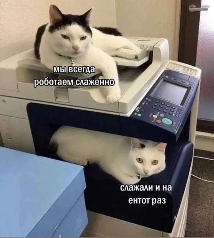 Как справляться с ошибками | Сетка — социальная сеть от hh.ru