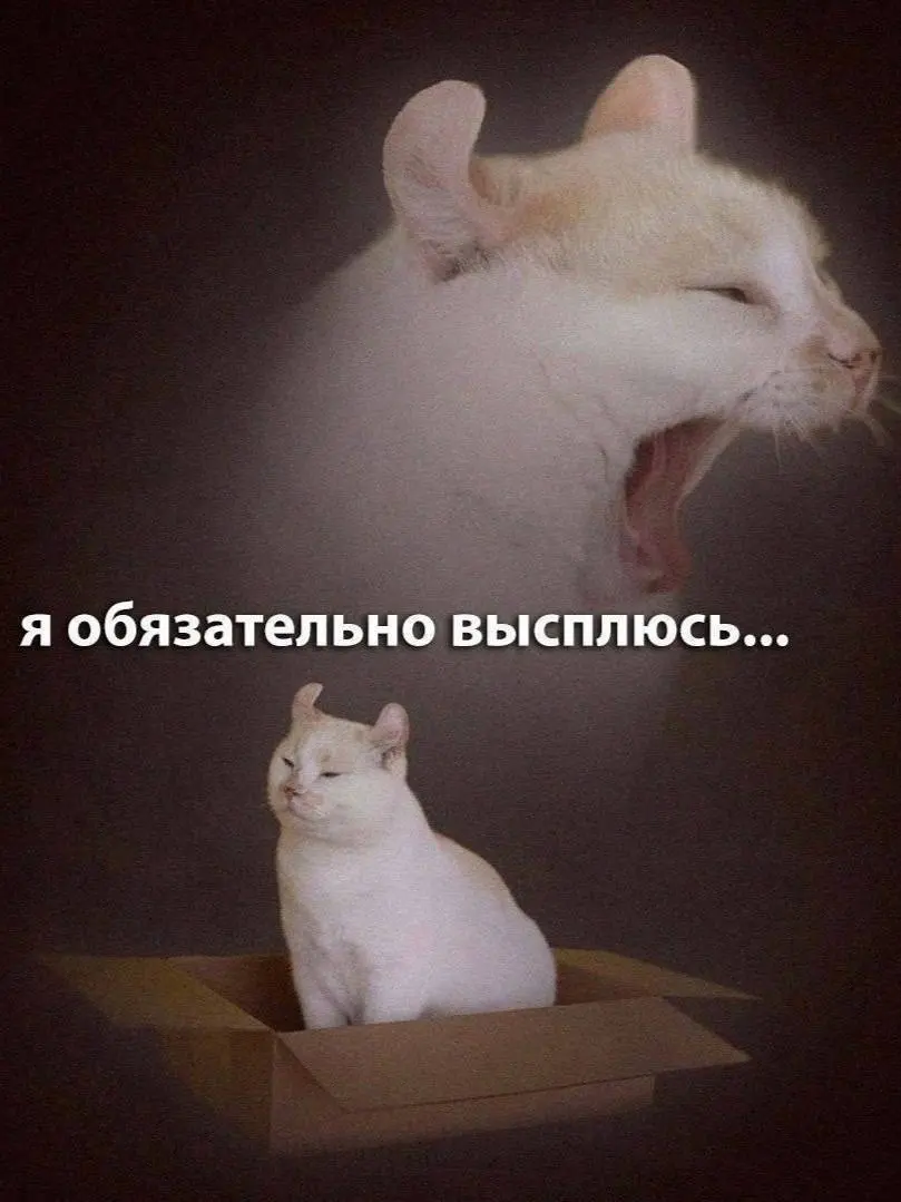 Вы знаете что делать 🤓
#мемнаяпятница | Сетка — социальная сеть от hh.ru