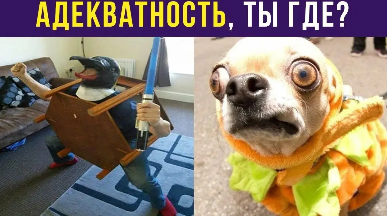 #мнение
Про сложные увольнения
Не так давно я писал про увольнение и человечность. Можно ознакомиться тут | Сетка — социальная сеть от hh.ru