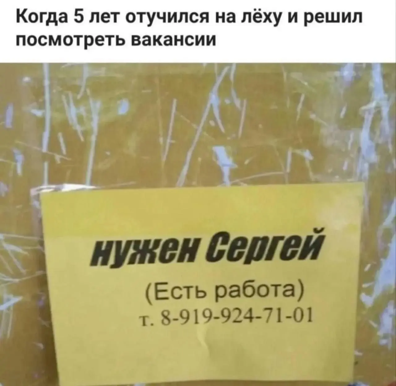 Сын записался на программерские курсы - Питон с прикладными задачами, чат-боты, обработка данных, аналитика и т.д | Сетка — социальная сеть от hh.ru