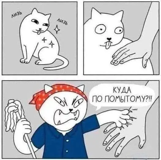 Пятница друзья!
Ребята сегодня постарались мемы прислали . Я что-то давно не выкладывал подборки.
А еще сегодня собеседование проводил, попался уникальный кандидат | Сетка — социальная сеть от hh.ru