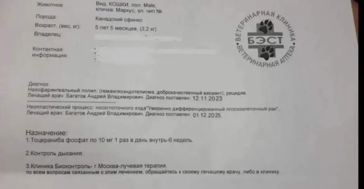 Здравствуйте, прошу помочь, всем кому не все равно!! | Сетка — социальная сеть от hh.ru