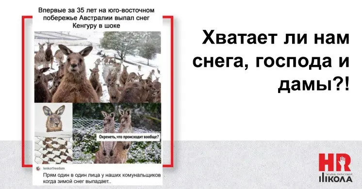 🔴Субботние мемы
.
Зима вступила в свои права окончательно и бесповоротно, снег теперь уж точно до весны | Сетка — социальная сеть от hh.ru