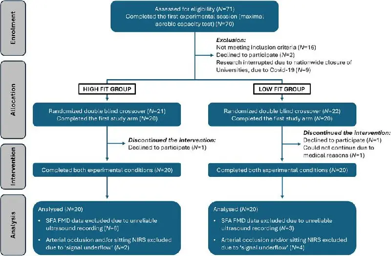 Ласкающая слух медицинская новость пришла из Великобритании | Сетка — социальная сеть от hh.ru