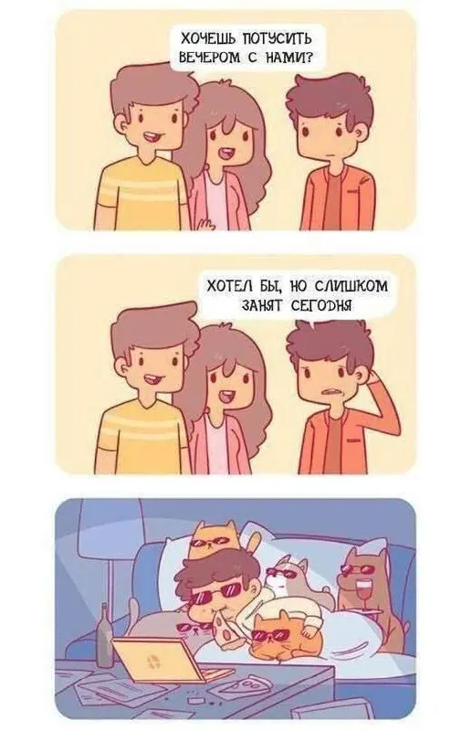 У них свой Адвент календарь 😂😂😂
#Юмор@poldner #Коты@poldner | Сетка — социальная сеть от hh.ru