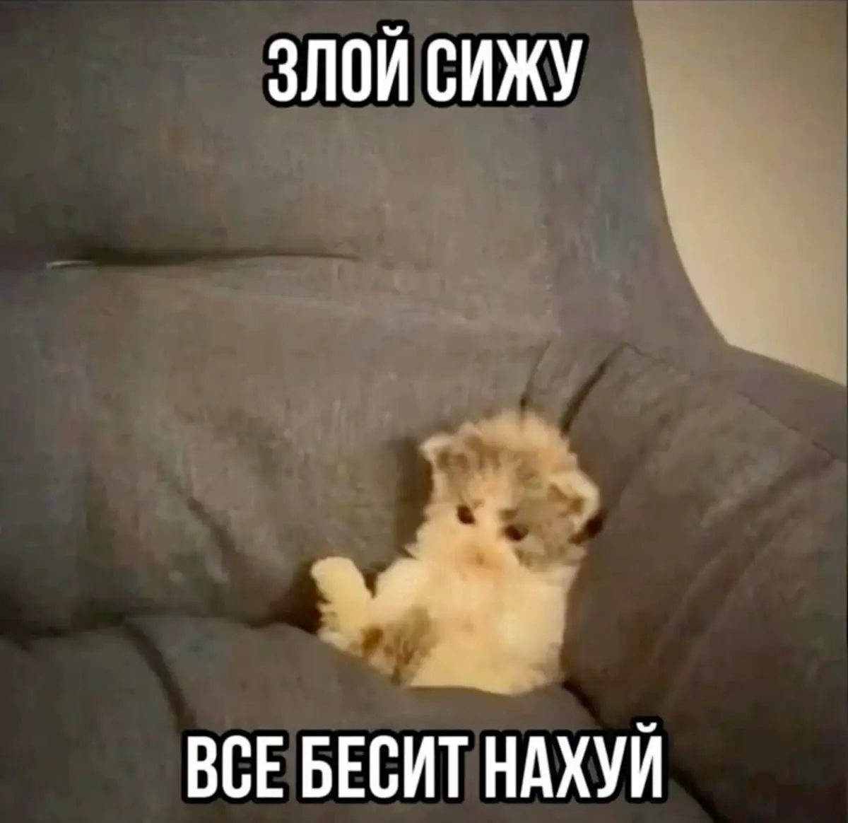 Нет возможности добавить видео в 2к25... | Сетка — социальная сеть от hh.ru